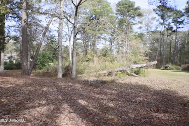 1074 Halton Ct, Brandon, MS 39047 - photo 5