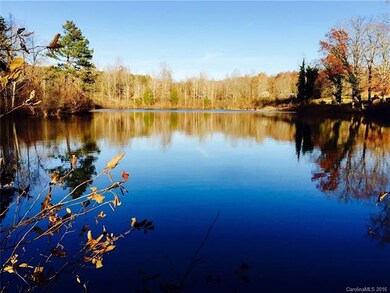 Property line runs along the dam for this 20 acre 