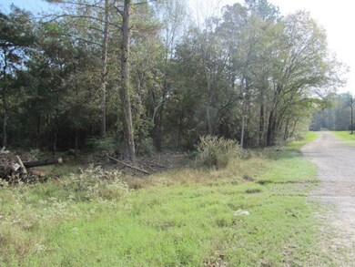 lot view by road