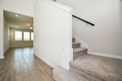 The plush carpeted steps ascending to the upper le