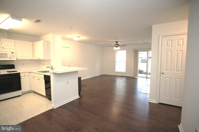 5217 Wagon Shed Cir, Owings Mills, MD 21117 - photo 6