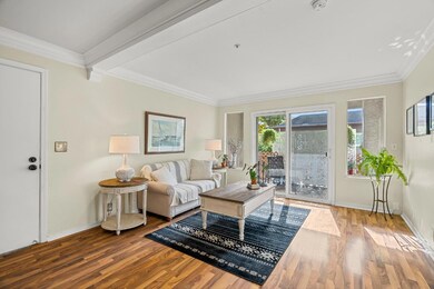 308 River St unit B8, Santa Cruz, CA 95060 - photo 3