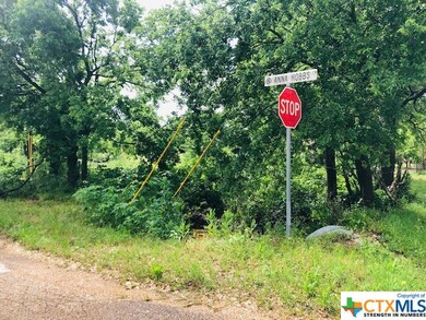 TBD 4th St, Bruceville-Eddy, TX 76524 - photo 4