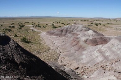 Chinle Butte Formation