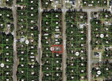 7180 N Lime Dr, Citrus Springs, FL 34433 - photo 3