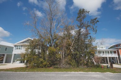 00 SW 279th Ave, Steinhatchee, FL 32359 - photo 3