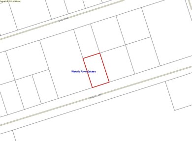 0 Noles Ln unit 1 287501, Crawfordville, FL 32327 - photo 2