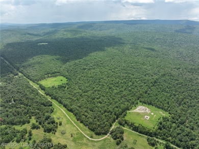 TBD NE 100th Rd, Red Oak, OK 74563 - photo 6