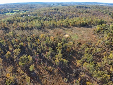 000 Berry Rd, Cabool, MO 65689 - photo 6