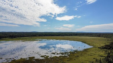 194 Seboeis Rd, Howland, ME 04448 - photo 3