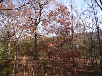 2250 County Road 220, Eureka Springs, AR 72631 - photo 7