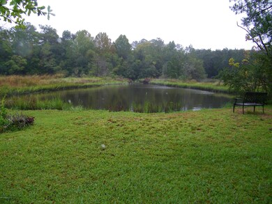 10309 Robinwood Ln, Jacksonville, FL 32218 - photo 3