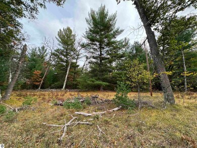 00 Rifle River Trail, Prescott, MI 48756 - photo 4