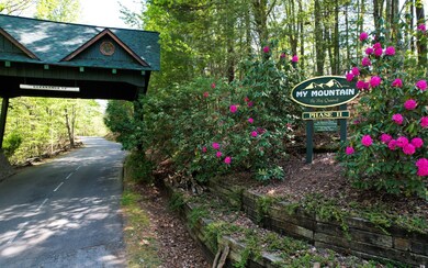 1.15 Acres Dolittle Rd, Morganton, GA 30650 - photo 3