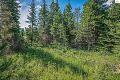 Lot 10 E Riley Loop, Athol, ID 83801 - photo 7