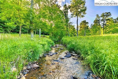 TBD 3B Mica Creek Estates, Todd, NC 28684 - photo 4