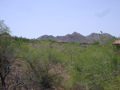 View of McDowell Mountains