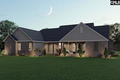 TBD Haltiwanger Rd, Chapin, SC 29036 - photo 3