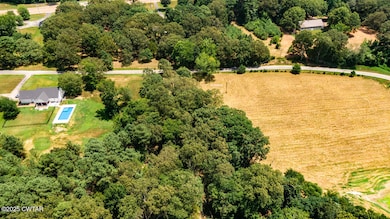 xxx Wilson Ln, Lexington, TN 38351 - photo 6