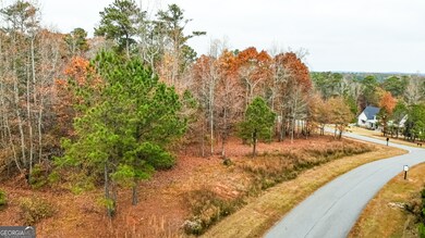 0 Alston Point unit LOT 410/411, Newnan, GA 30263 - photo 2