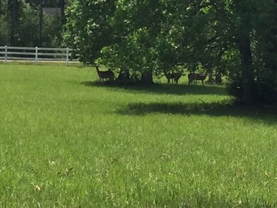 29212 Village Bend, Magnolia, TX 77355 - photo 7