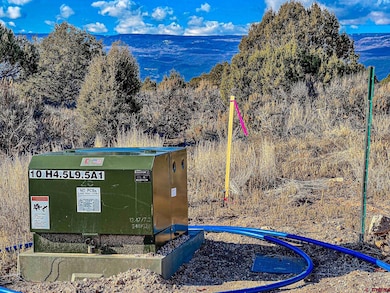 15369 2525 Rd, Cedaredge, CO 81413 - photo 6