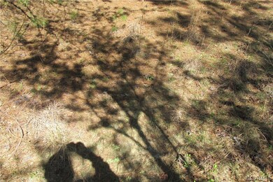 16615 Templeton Rd, Disputanta, VA 23842 - photo 7