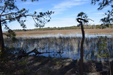 Cordgrass Loop 006