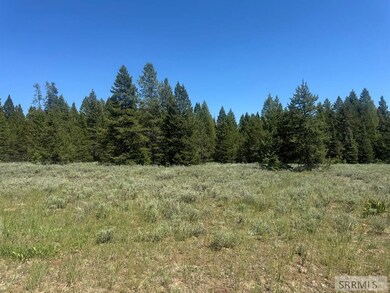 4100 Yale Creek Rd, Island Park, ID 83429 - photo 2