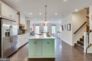 25031 Cambridge Hill Terrace, Chantilly, VA 20152 - photo 5