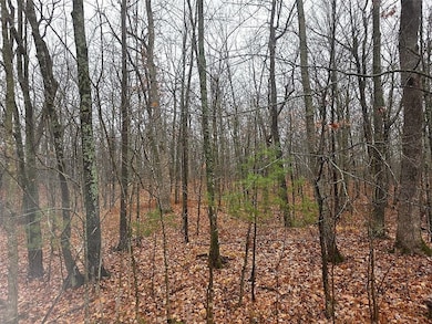 00 15th St, Johnstown, WI 54826 - photo 4