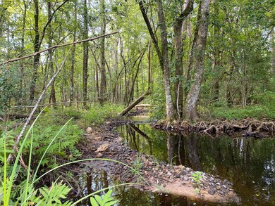 0 Nursery Rd unit 24160622, Livingston, TX 77351 - photo 5