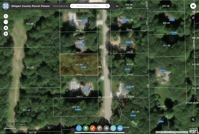 Allegan County Parcel Viewer