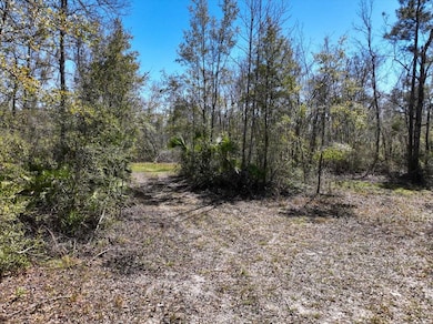 4278 Woods Creek Rd, Perry, FL 32347 - photo 6