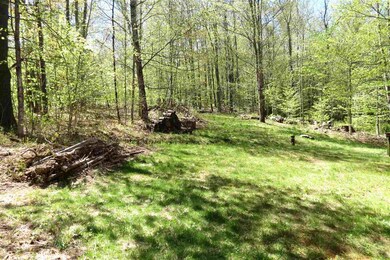 29 Okemo Acres Rd, Ludlow, VT 05149 - photo 2