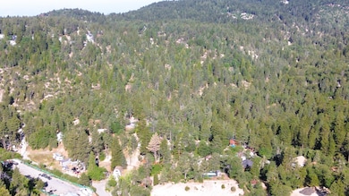 0 Elko Dr unit 219131942DA, Arrowbear, CA 92382 - photo 4