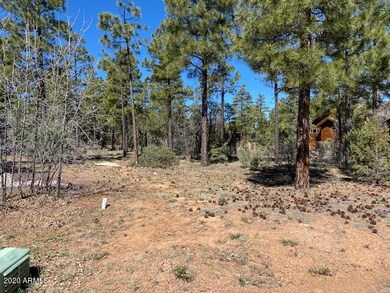 5964 LUMINARY WAY Lakeside AZ 85929