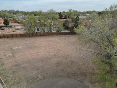 1011 Quail Ct, Albuquerque, NM 87114 - photo 5