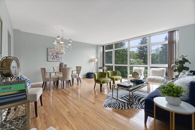 79 Florence St unit 205S, Chestnut Hill, MA 02467 - photo 5