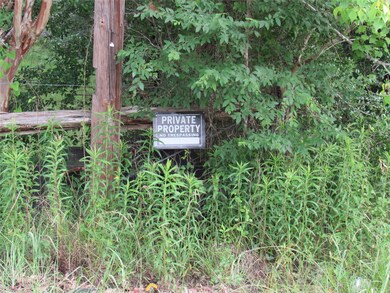 30090 Joseph Rd, Hockley, TX 77447 - photo 4