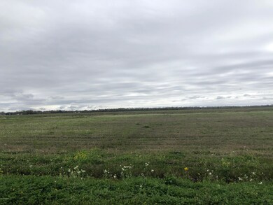 Lot 5 Claude Leblanc Rd, New Iberia, LA 70560 - photo 3