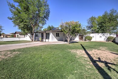 1233 N Oakleaf Dr-3