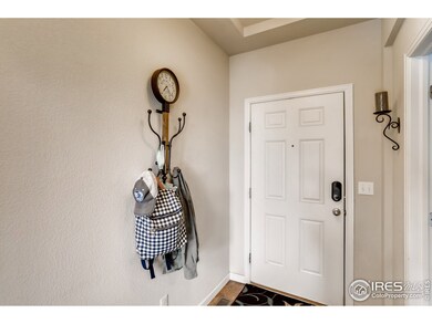 342 Zuniga St, Brighton, CO 80601 - photo 2
