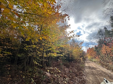 000 Pinewood Rd, McMillan Township, MI 49868 - photo 2