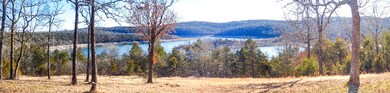 Panorama1