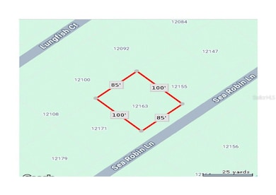 12163 Sea Robin Ln, Meadows and Villas, FL 33946 - photo 2