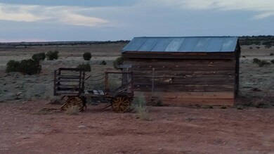 Chicken Coop