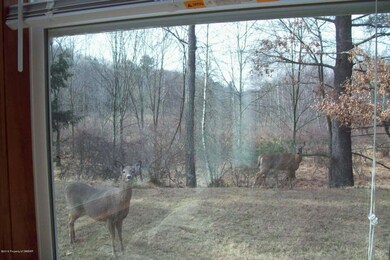 106 Overview Ct, Drums, PA 18222 - photo 6