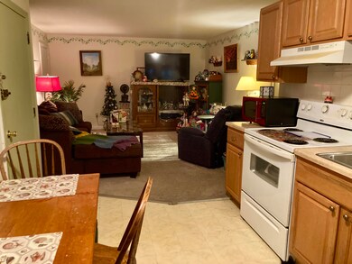 30 Danbury Dr unit 11, Methuen, MA 01844 - photo 2