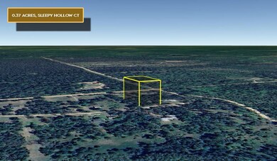 0 Sleepy Hollow Ct unit 25580457, South Branch Township, MI 48653 - photo 2